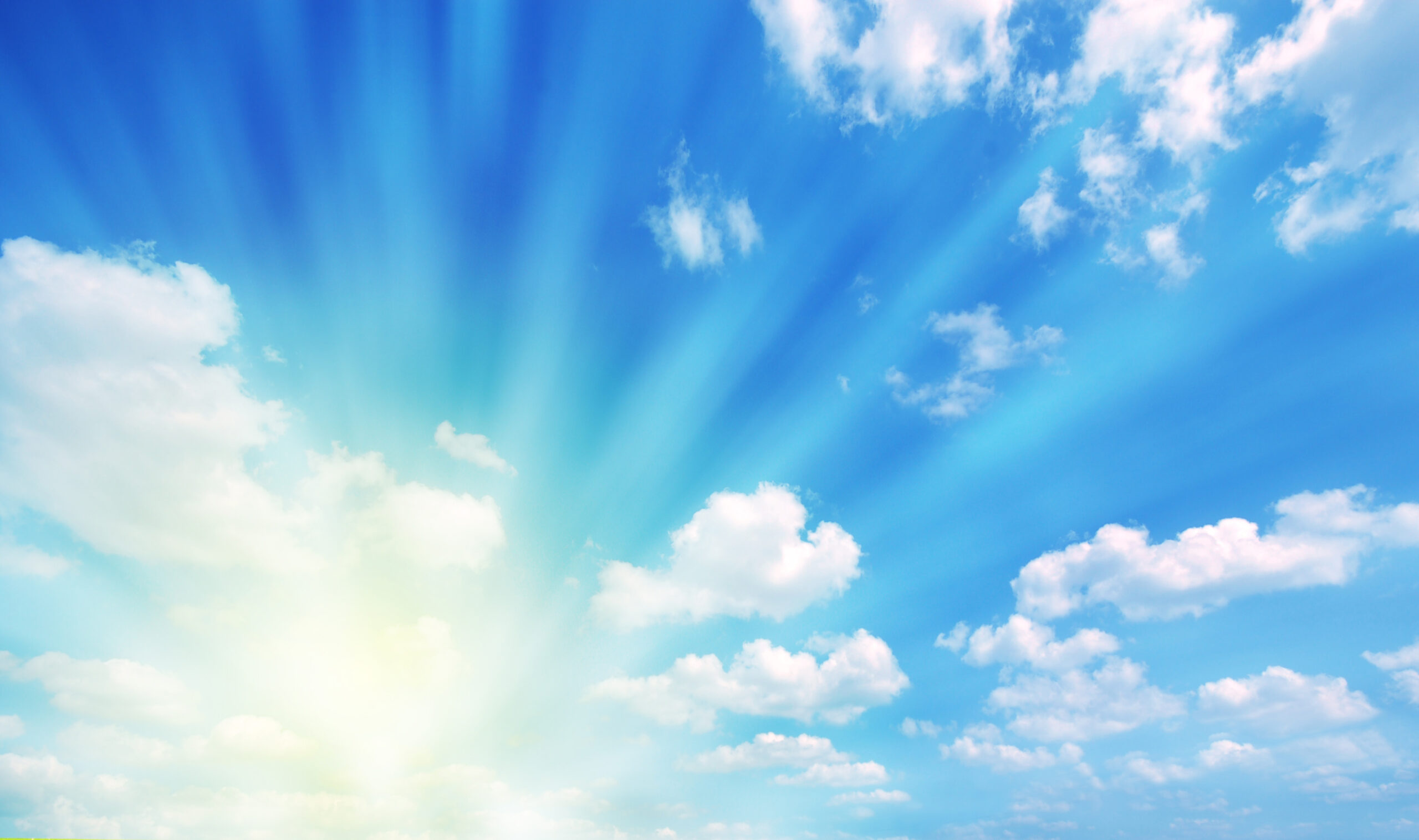 Sunny spring landscape